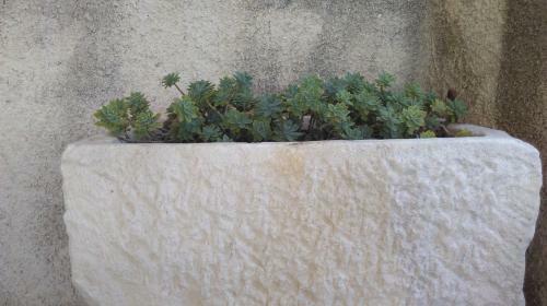 Kaprije Mistral Apartment