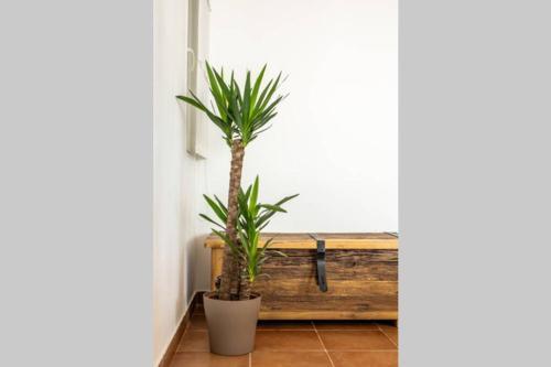 Villa Holiday House Olive 3 ****