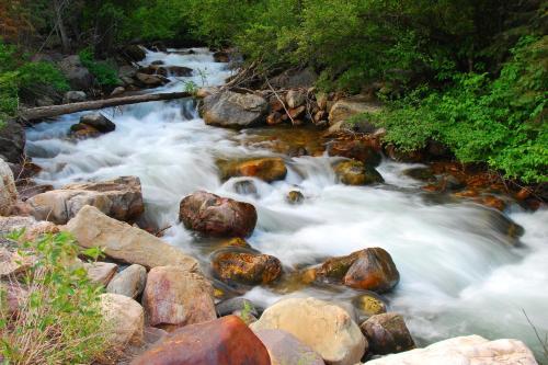 Blackstone Paradise 1b