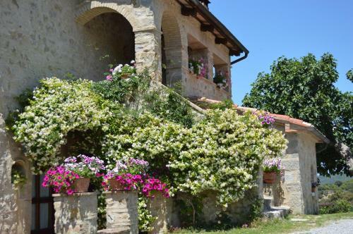 Agroturismo Bellavista