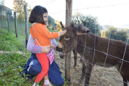 Agroturismo Bellavista