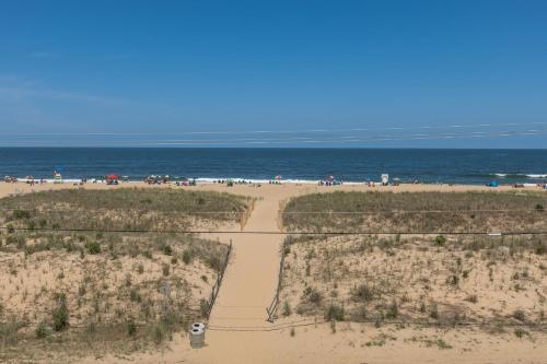 The Sandbridge Dunes - Dreamery 212