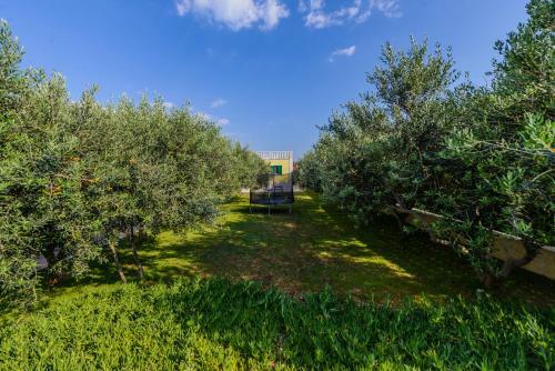 Apartamento Beachfront Villa Mihovil - With Private Pool