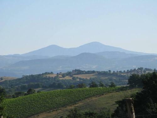 Agroturismo Le Murelle Country Resort