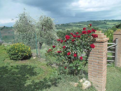 Agroturismo Poggio Petrella