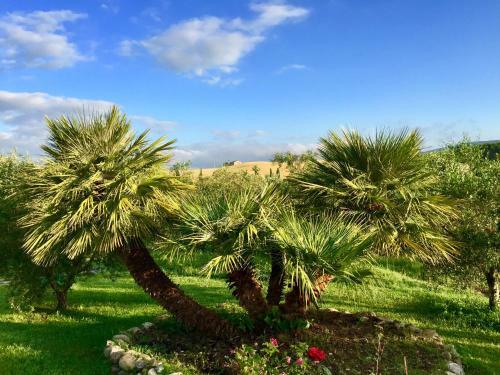 Agroturismo Il Girasole Terzuolo