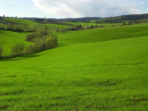 Agroturismo Il Girasole Terzuolo