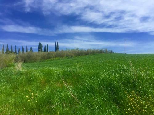 Agroturismo Il Girasole Terzuolo
