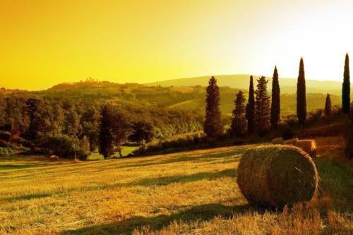 Agroturismo Il Girasole Terzuolo
