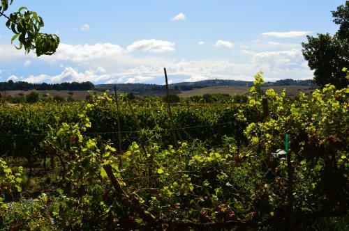 Agroturismo Il Girasole Terzuolo