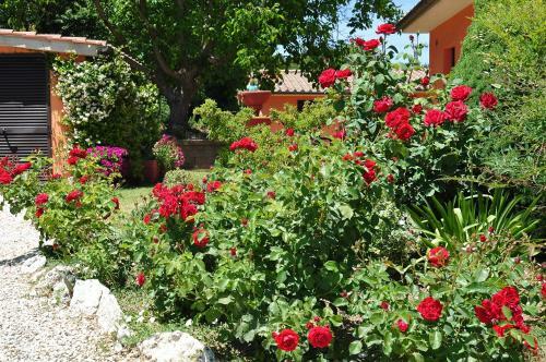 Rosemarie B&B