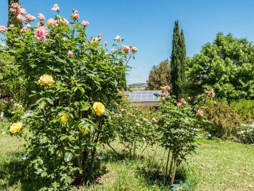 Holiday Home Campagnano Di Roma 2