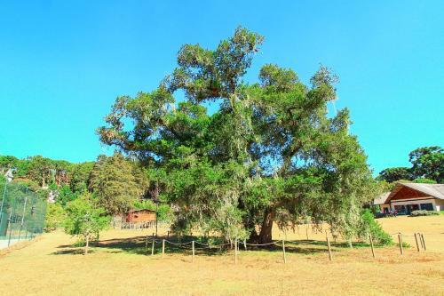 Lodge Aconchego V�u Da Noiva