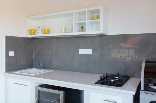 Villa Alinica Dvori / Pool / Serenity / Brand New