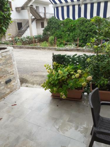 Hostal Apartmani Mileti?