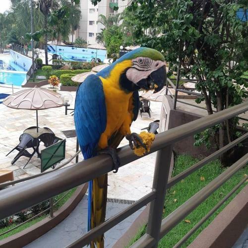 Apartamentos Ecologic Park - Caldas Novas