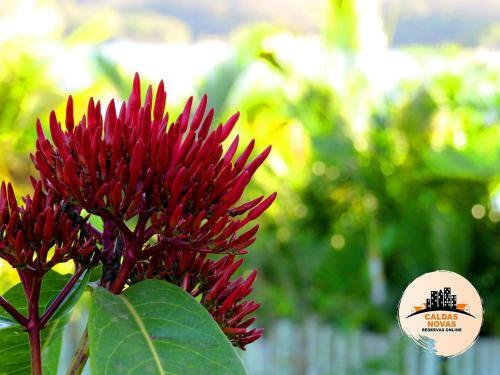 Mans�o No Lago - Caldas Novas Reservas Online