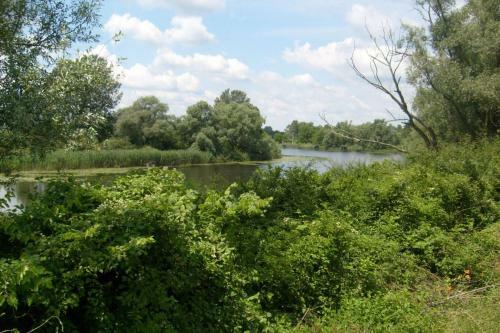Riverside House Bojko