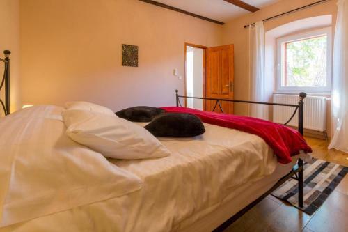 Holiday Home In Krizisce 40737