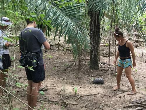 Spot Jaguar Pantanal Sul- Camping - Tour