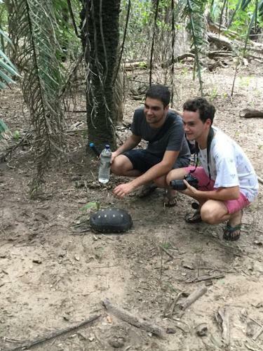 Spot Jaguar Pantanal Sul- Camping - Tour