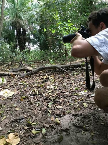 Spot Jaguar Pantanal Sul- Camping - Tour