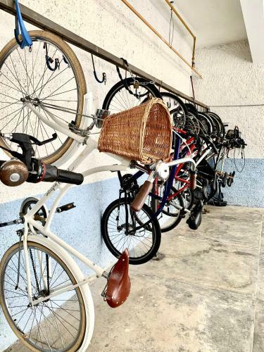 101-apartamento Encantador, 2 Quartos. Bigorrilho