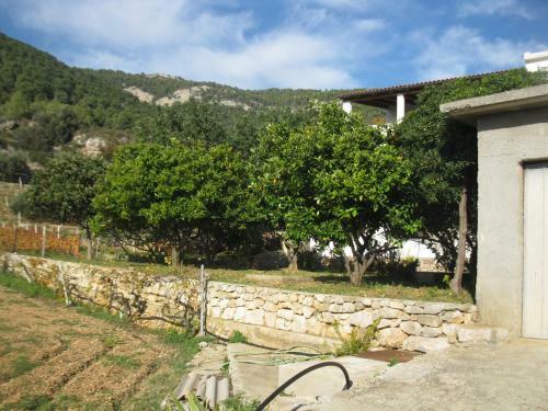Hostal Apartments Bako Komiza