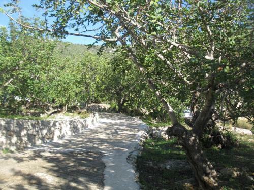 Hostal Apartments Bako Komiza