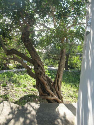 Hostal Apartments Bako Komiza