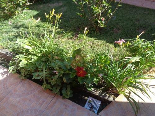 Casa Geminada Em Jurer�