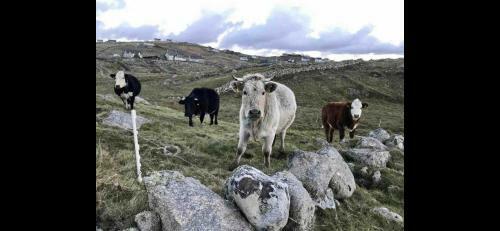 Anna R�, Wild Atlantic Way, Gweedore, County Donegal
