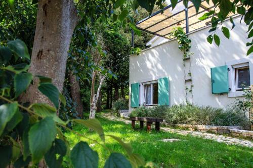Villa Holiday Home Mikula