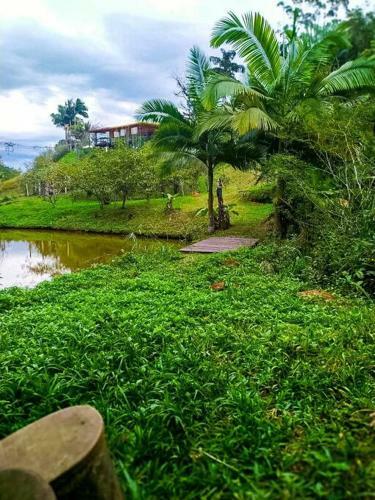 Ch�cara Esperan�a Seu Refugio Pr�ximo Ao Centro Da Cidade