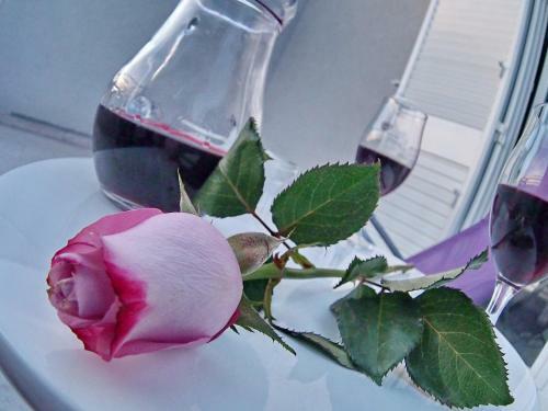 Hostal Dubrovnik Icy Guest House