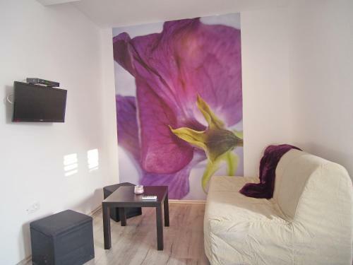 Hostal Dubrovnik Icy Guest House