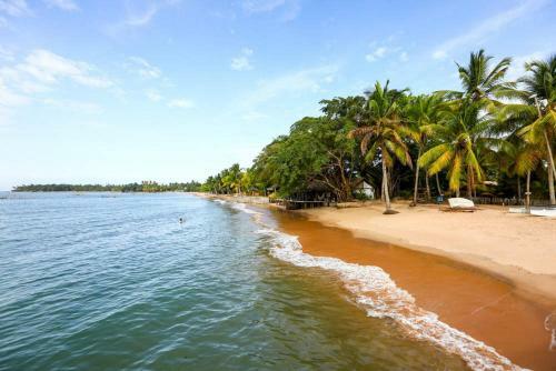 Flat Conchas E Corais - Village Para�so