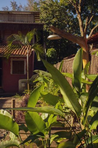 Flat E Suites Na Vila Barra Grande - Casa Ballyhoo