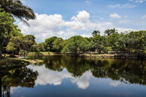 Hotel Vivant Eco Beach Resort - Ano Novo E Carnaval