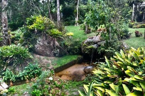 Est�ncia Das Nascentes - S�tio S�o Francisco