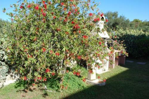 Apartamento Appartamenti Torre Di Chia
