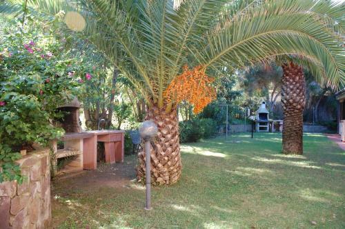 Apartamento Appartamenti Torre Di Chia