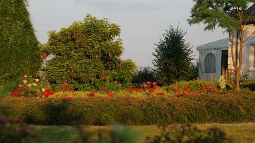 Bed & Breakfast Dw�r Na Wichrowym Wzg�rzu