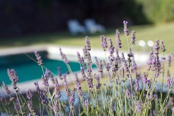 Hotel La Fauvelle