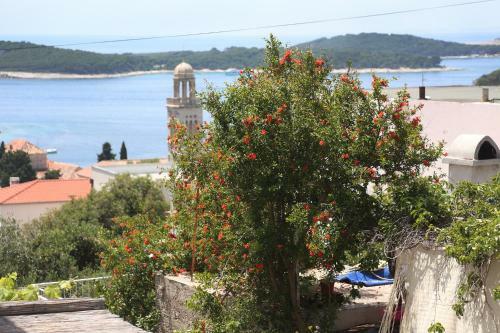 Hostal Tanya-apartments And Rooms