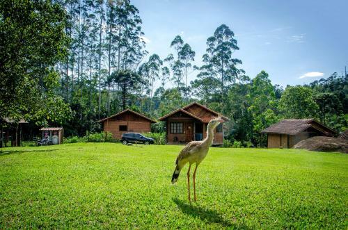 Hostal Recanto Do Kal�o