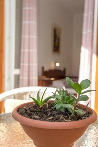 Apartamento Historic Center Hvar Town- A Few Steps From The Main Square