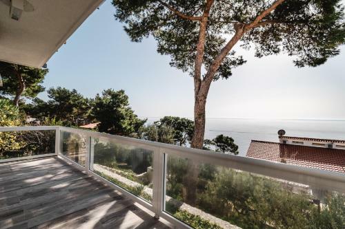 Aurora Apartment & Aurora Room