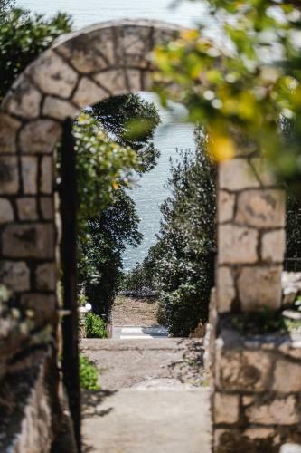 Aurora Apartment & Aurora Room