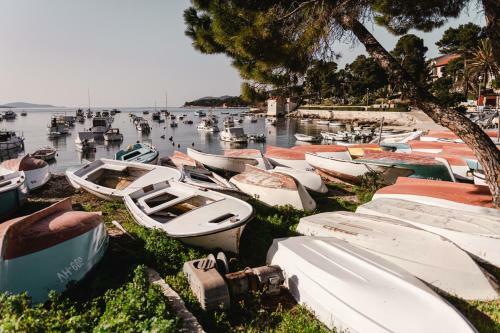 Aurora Apartment & Aurora Room